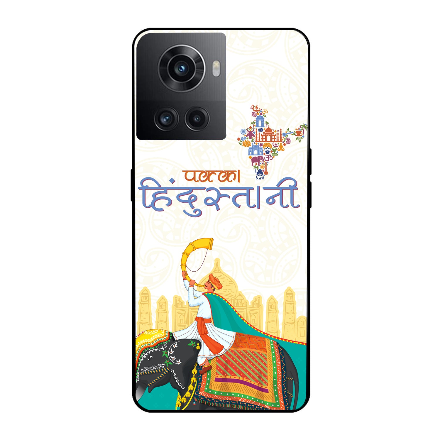 Pakka Hindustani Indian Oneplus 10 R Back Case