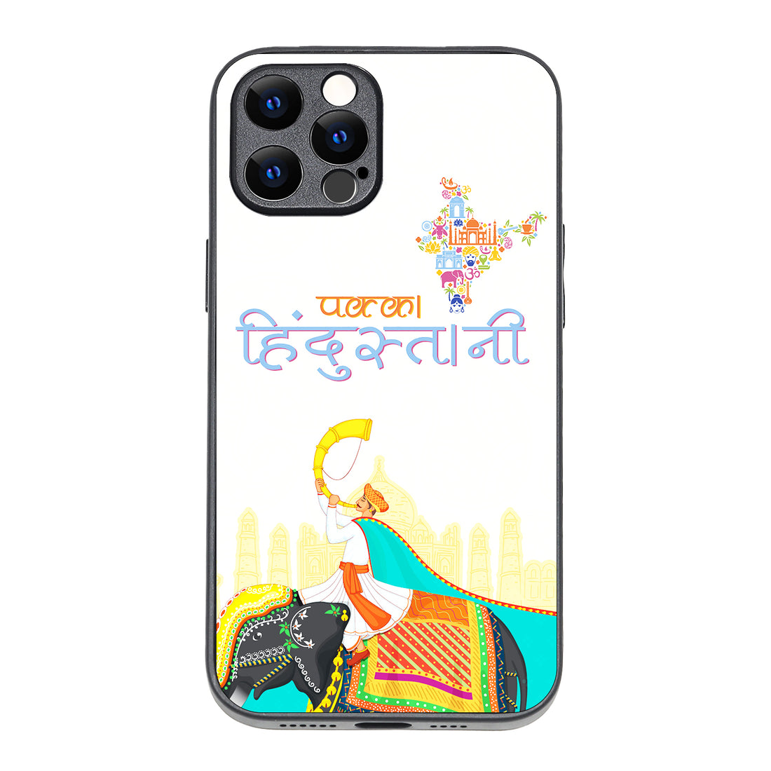 Pakka Hindustani Indian iPhone 12 Pro Max Case