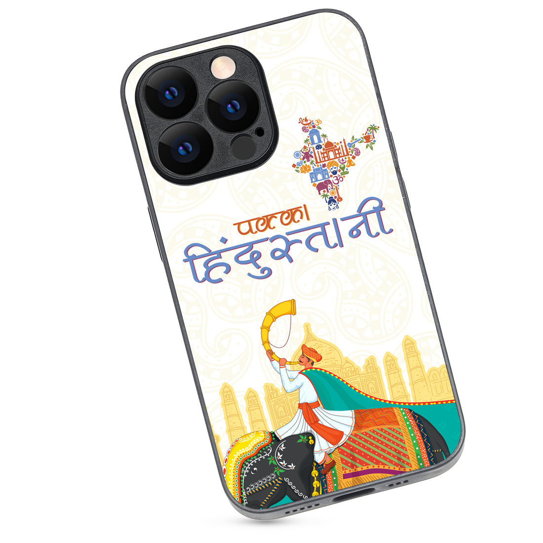 Pakka Hindustani Indian iPhone 13 Pro Case