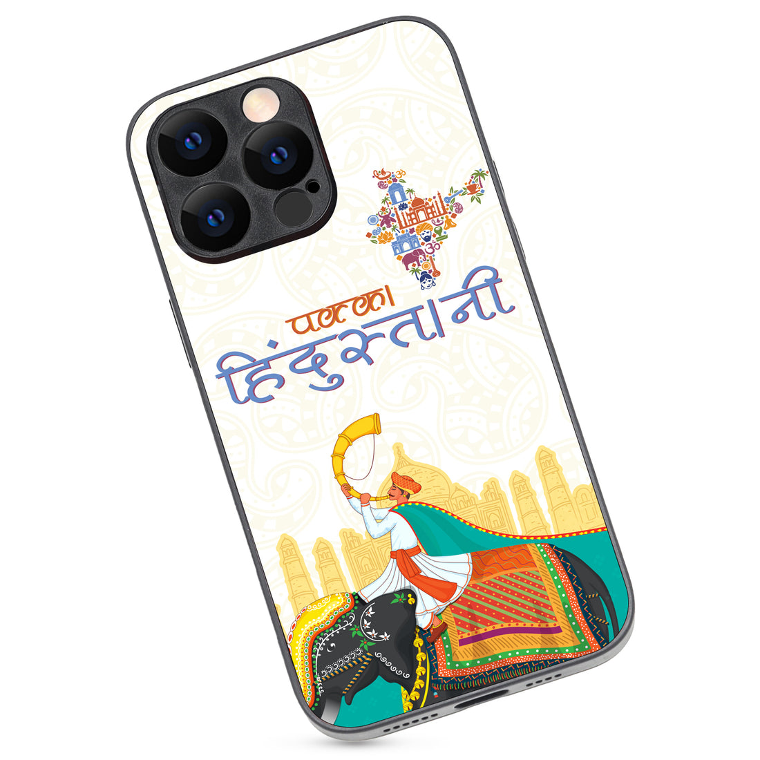 Pakka Hindustani Indian iPhone 14 Pro Max Case