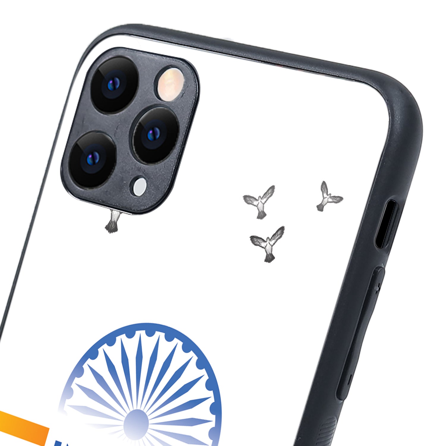 Indian iPhone 11 Pro Max Case